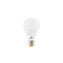 LED Bulbs