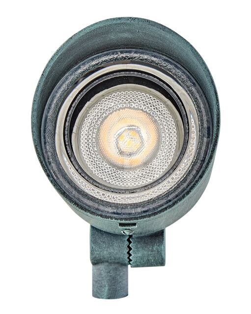 Hinkley Lighting 120V Small Spot Light 54000 - Dimmable Outdoor Fixture with Multiple Finishes