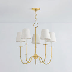 Amina 5-Light Chandelier by Hudson Valley Lighting, Aged Brass Finish with Linen Shades