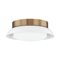 Arnie Ceiling Light by Troy Lighting, Dimmable Opal Glass Shade, Patina Brass Finish Options