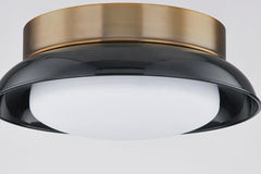 Arnie Ceiling Light by Troy Lighting, Dimmable Opal Glass Shade, Patina Brass Finish Options