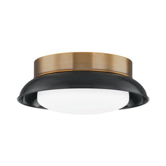 Arnie Ceiling Light by Troy Lighting, Dimmable Opal Glass Shade, Patina Brass Finish Options