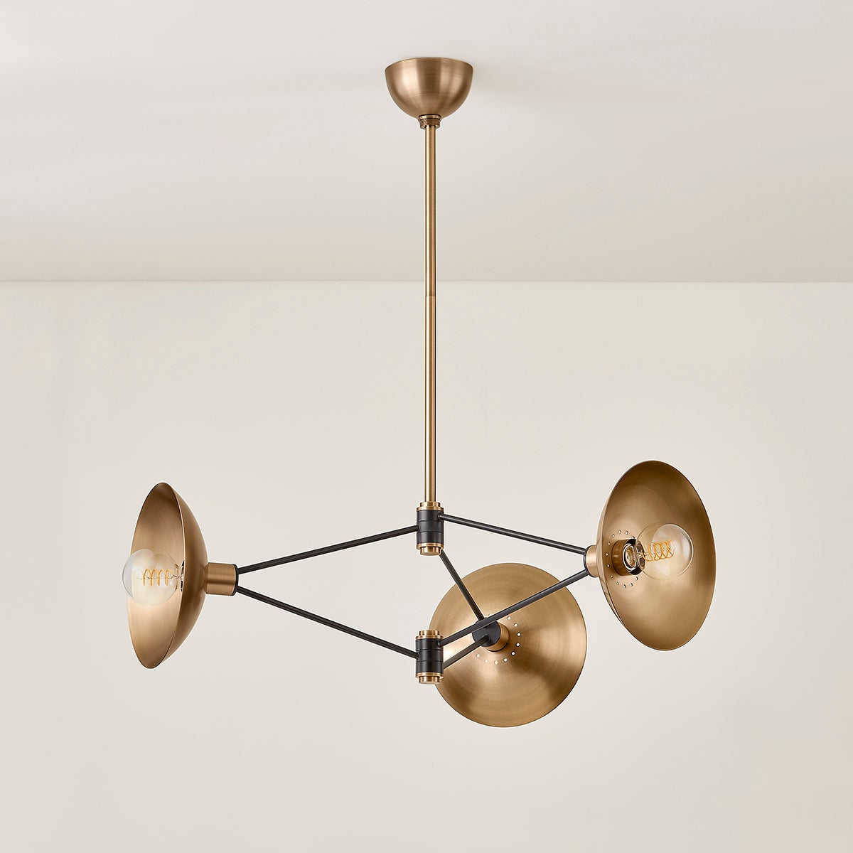 Axel Chandelier by Troy Lighting F1036-PBR/SBK