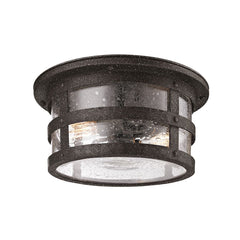 Troy Lighting Barbosa Outdoor Ceiling Light, Aged Pewter Finish, Clear Seeded Glass, Damp Rated, 2 Bulb Max