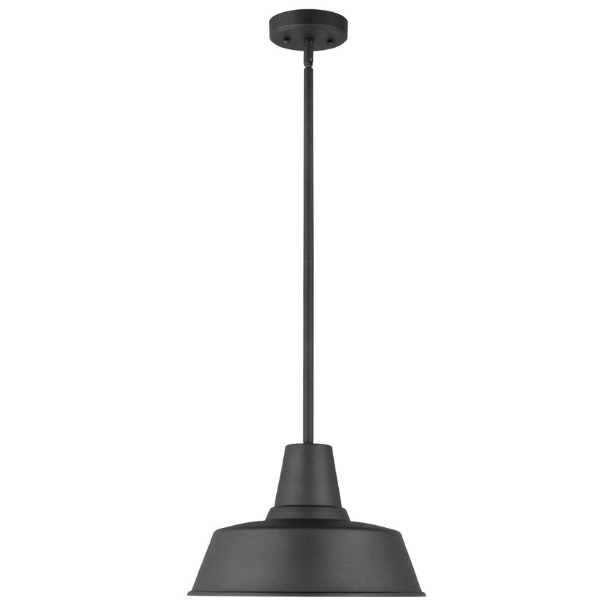 Barn Light One Light Outdoor Pendant, Dimmable Aluminum Fixture with Vintage Design, 14" Diameter