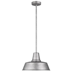 Barn Light One Light Outdoor Pendant, Dimmable Aluminum Fixture with Vintage Design, 14" Diameter