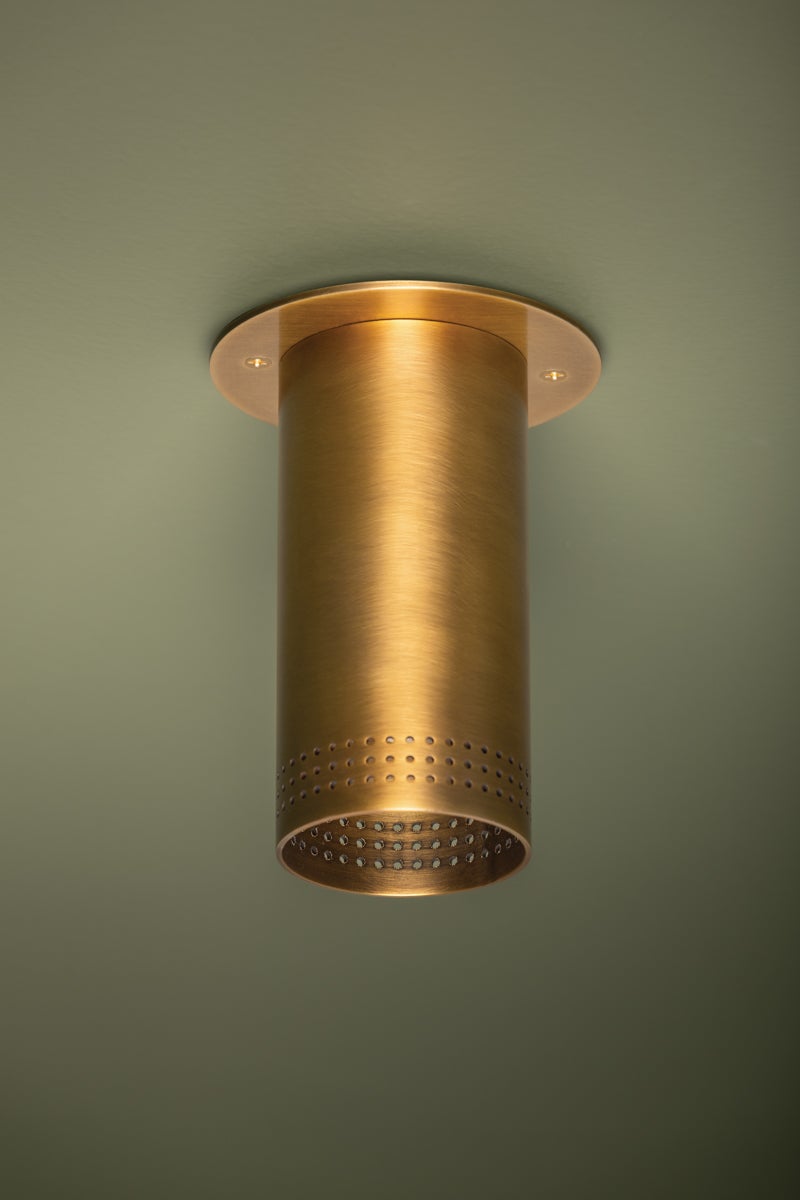 Berg Ceiling Light by Troy Lighting - Modern 1-Light Fixture with Dimmable Functionality and Luxurious Design