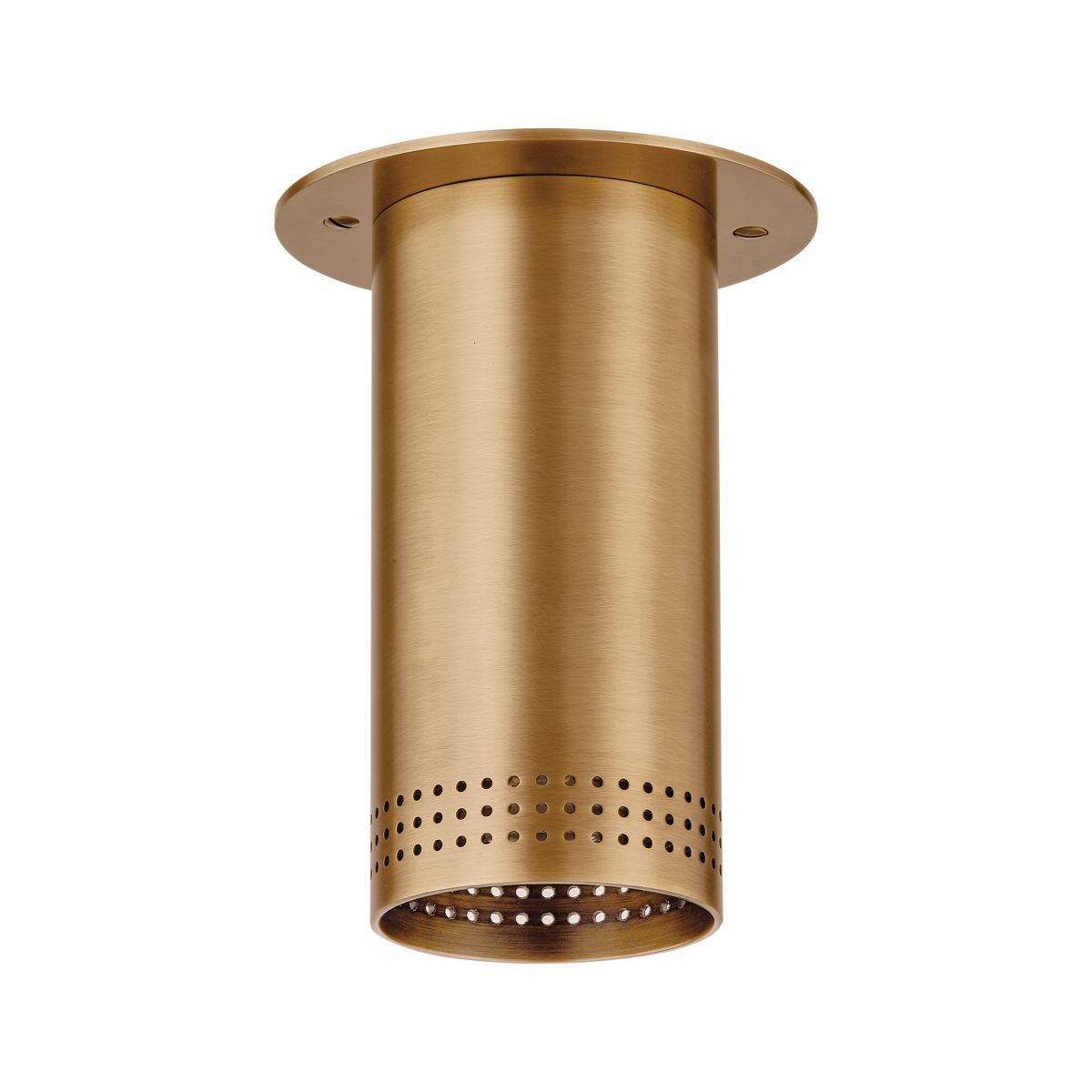 Berg Ceiling Light by Troy Lighting - Modern 1-Light Fixture with Dimmable Functionality and Luxurious Design