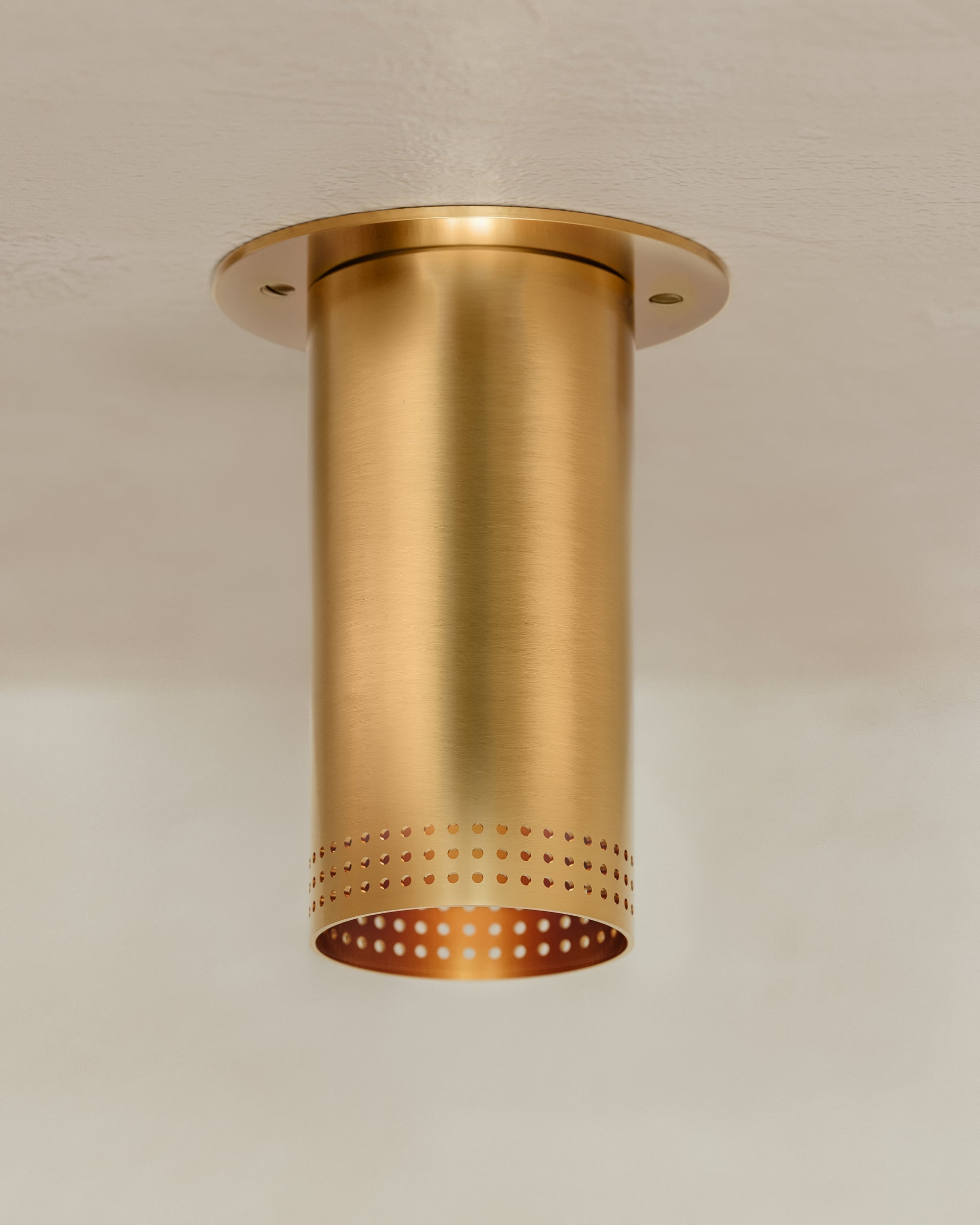 Berg Ceiling Light by Troy Lighting - Modern 1-Light Fixture with Dimmable Functionality and Luxurious Design