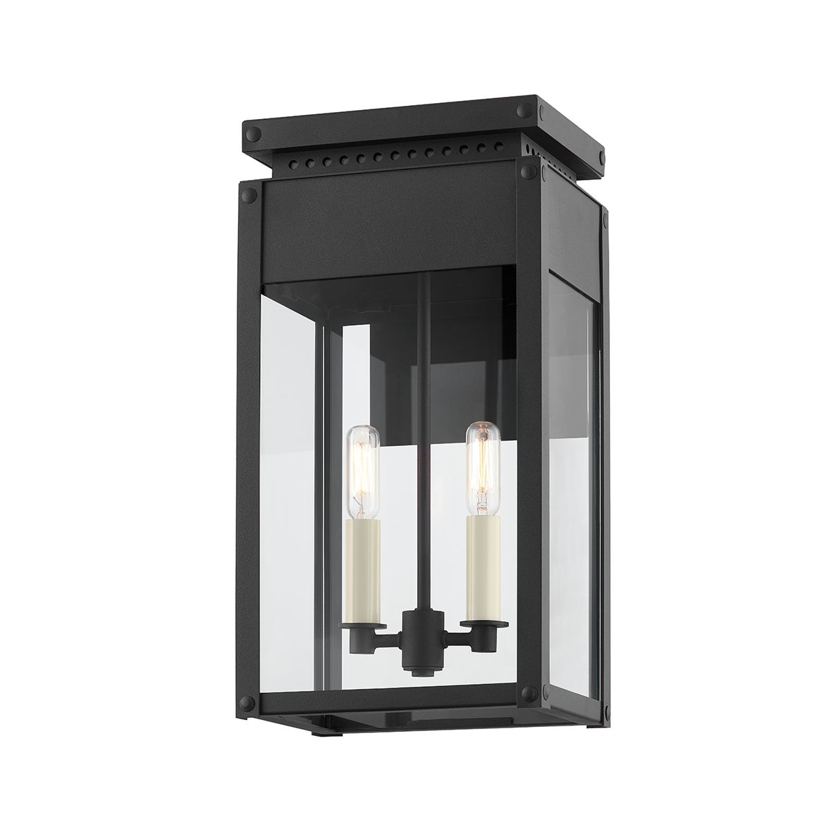 Braydan Medium Outdoor Wall Sconce by Troy Lighting B8517-TBK