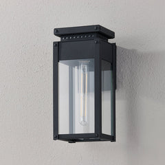 Braydan Outdoor Wall Sconce