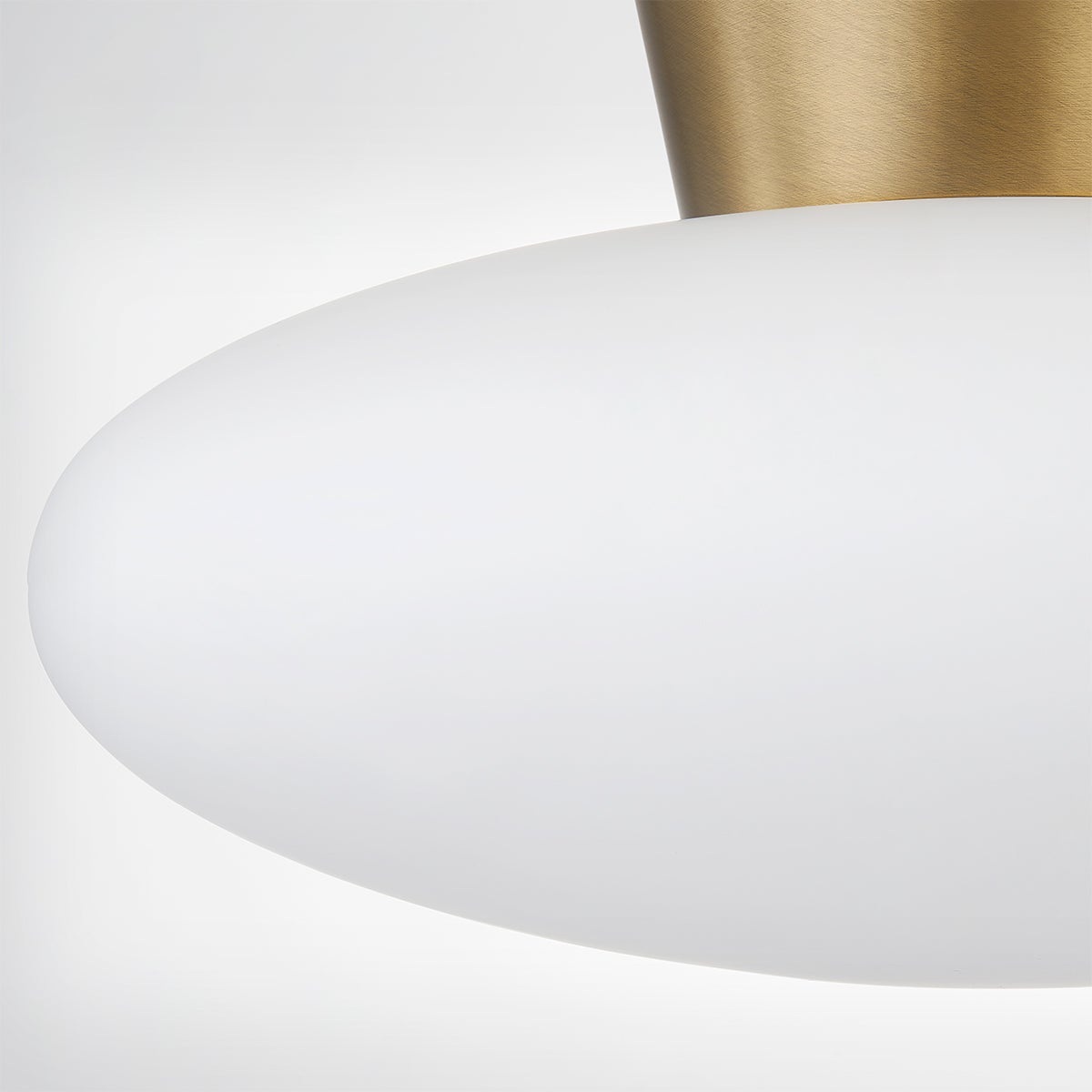 Brody Ceiling Light by Troy Lighting C5415-PBR