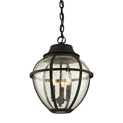 Bunker Hill Outdoor Hanging Light by Troy Lighting F6457-VBZ