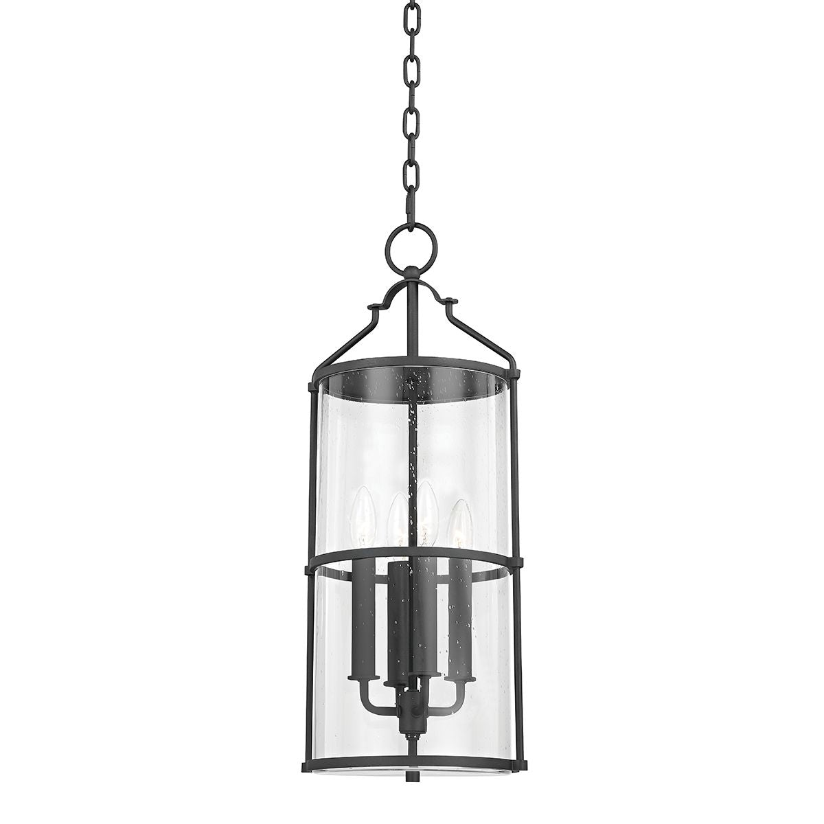 Burbank Outdoor Hanging Lantern by Troy Lighting F1310-TBK