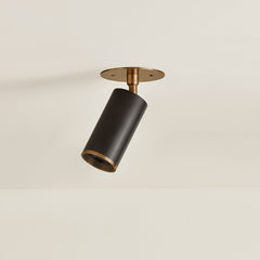 Caleb Ceiling Light By Troy Lighting, Dimmable GU10, Patina Brass & Bronze Finish, UL Damp Rated