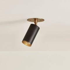 Caleb Ceiling Light By Troy Lighting, Dimmable GU10, Patina Brass & Bronze Finish, UL Damp Rated