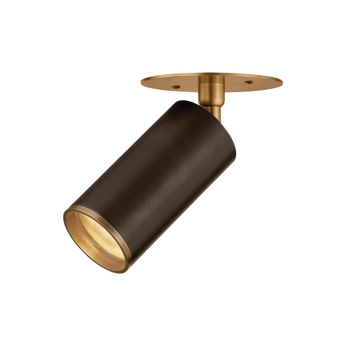 Caleb Ceiling Light By Troy Lighting, Dimmable GU10, Patina Brass & Bronze Finish, UL Damp Rated