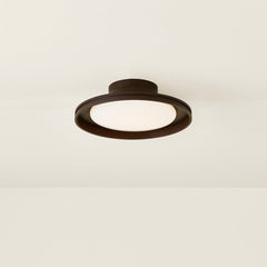 Cannes Outdoor Ceiling Light by Troy Lighting C3115-BRZ