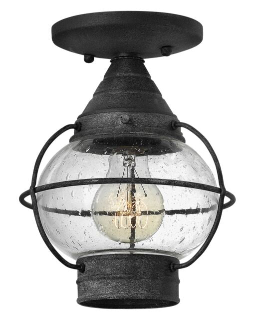 Cape Cod Extra Small Convertible Flush Mount by Hinkley Lighting 2203