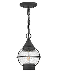 Cape Cod Extra Small Convertible Flush Mount Light Fixture by Hinkley, Clear Seedy Glass, 9” High