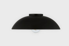 Eclipse Large Ceiling Light by Troy Lighting, Dimmable, 16.25" Width, Elegant Black Finish