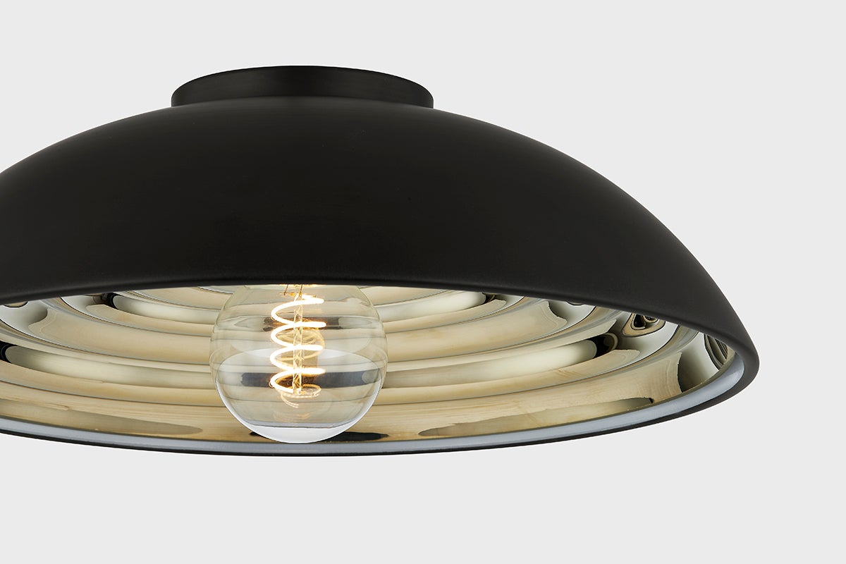 Eclipse Large Ceiling Light by Troy Lighting, Dimmable, 16.25" Width, Elegant Black Finish