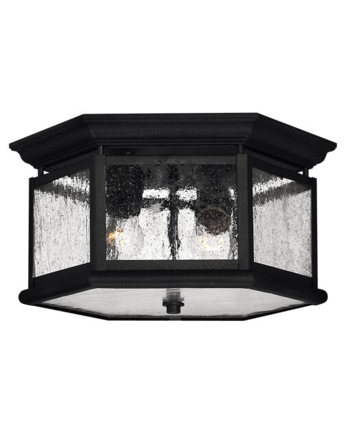 Edgewater Small Flush Mount Ceiling Light by Hinkley Lighting, 2 Lights, Clear Seedy Glass