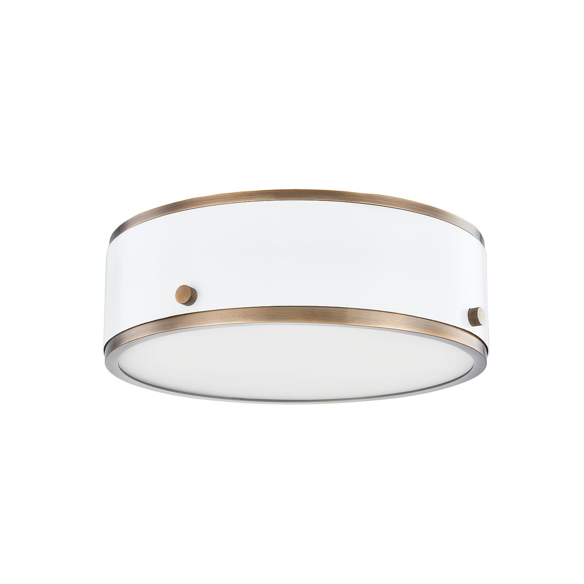 Eli Ceiling Light by Troy Lighting C8312 - Dimmable LED Flush Mount with Etched Glass Shade, 12W