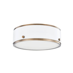 Eli Ceiling Light by Troy Lighting C8312 - Dimmable LED Flush Mount with Etched Glass Shade, 12W