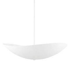 Fabius Large Pendant by Hudson Valley Lighting 1436-WP