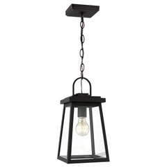 Founders One Light Outdoor Pendant by Visual Comfort, Dimmable, Energy Efficient, Clear Glass Shade, 14.25"H