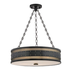 Gaines 4-Light Chandelier by Hudson Valley Lighting with Adjustable Height and Dimming Capability