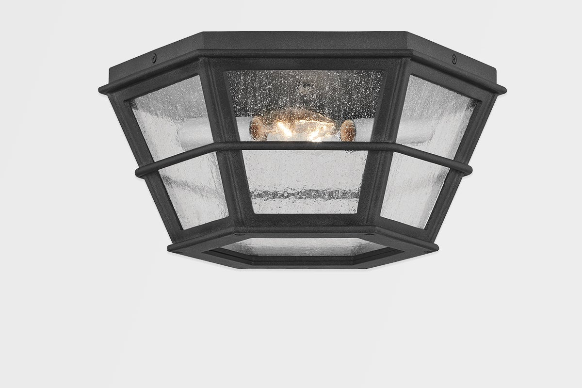 Lake County Outdoor Ceiling Light