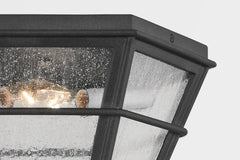 Lake County Outdoor Ceiling Light