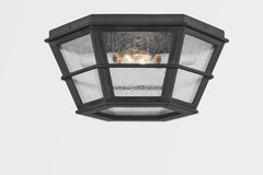 Lake County Outdoor Ceiling Light by Troy Lighting C2514-FRN