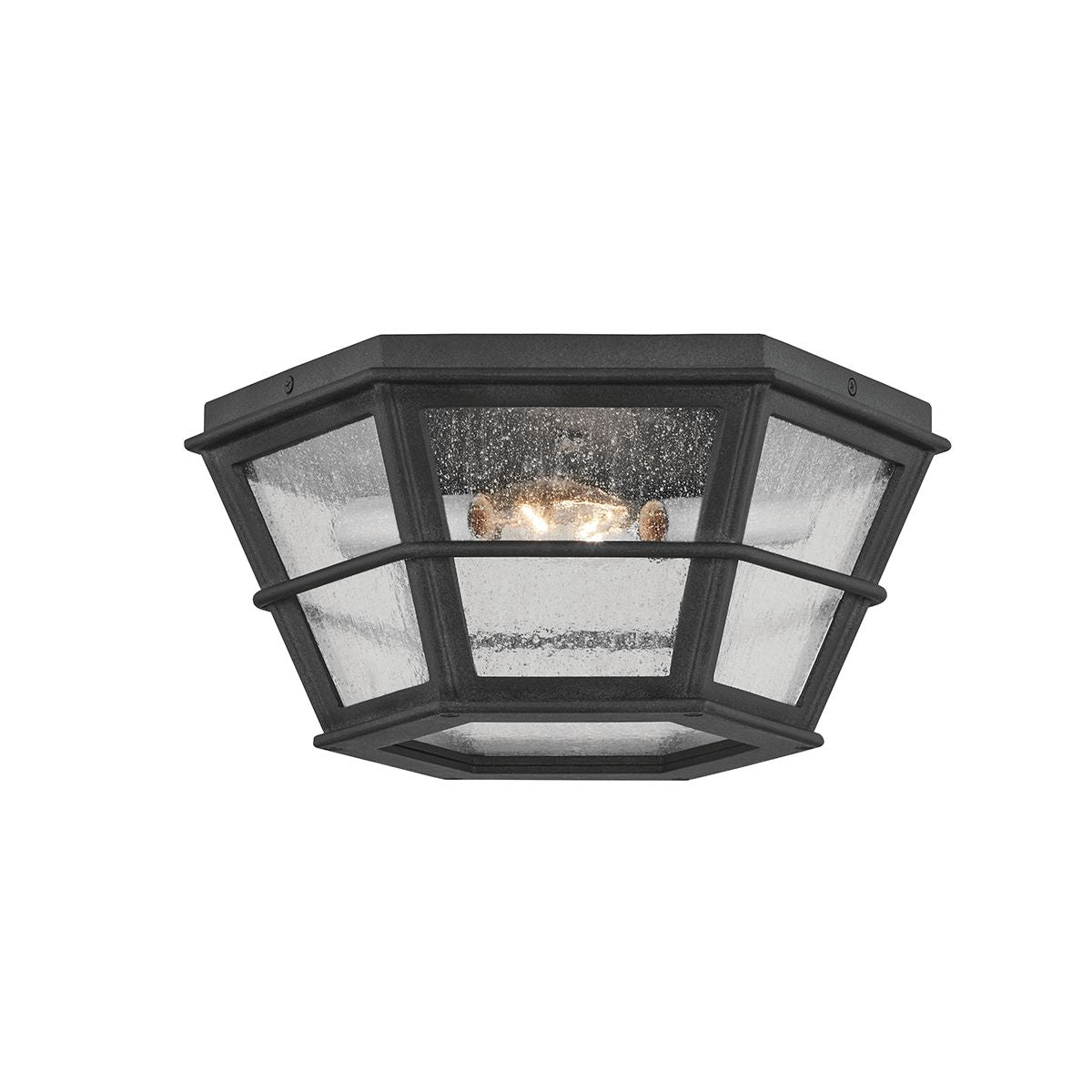 Lake County Outdoor Ceiling Light by Troy Lighting C2514-FRN