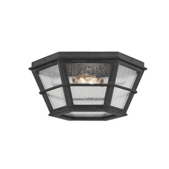 Lake County Outdoor Ceiling Light