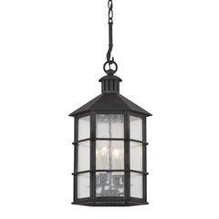 Lake County Outdoor Hanging Light by Troy Lighting F2526-FRN