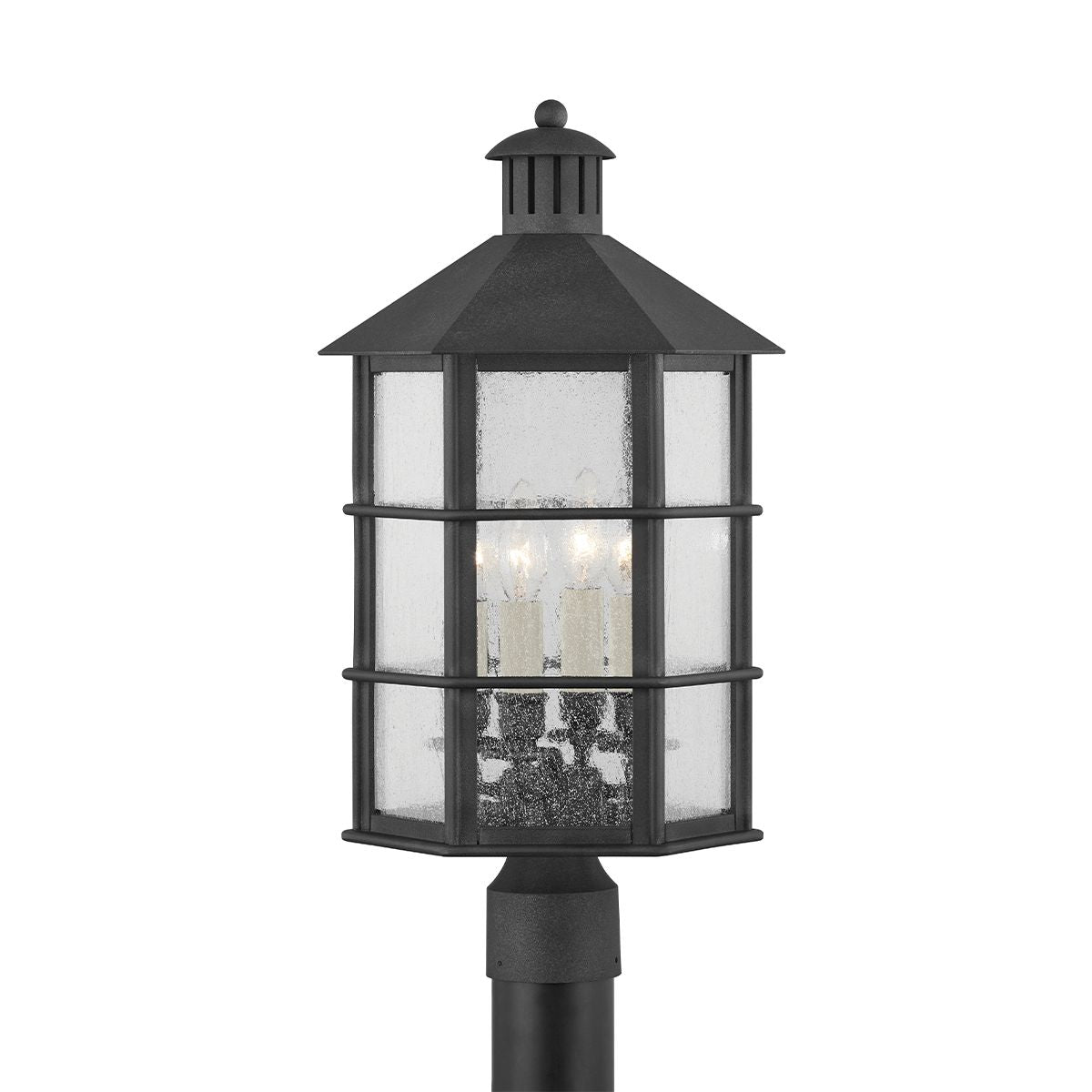 Lake County Outdoor Post Light by Troy Lighting P2522-FRN