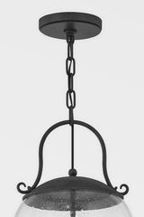 Napa County Outdoor Pendant by Troy Lighting F5186-FRN