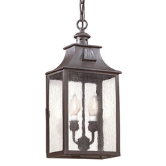 Newton Outdoor Hanging Light by Troy Lighting F9004-SFB