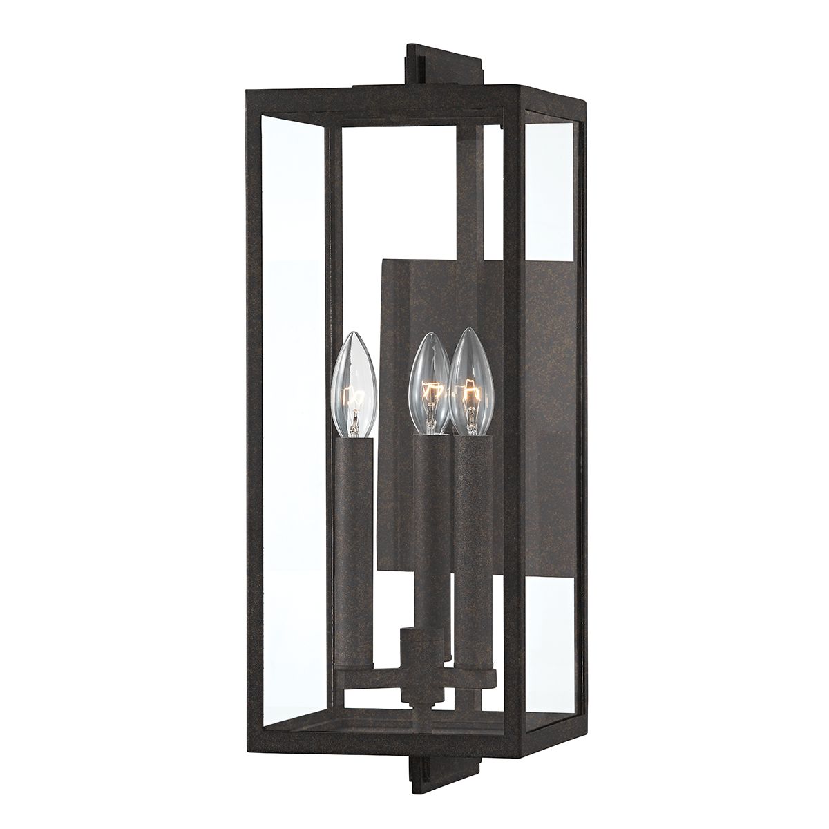 Nico Large Outdoor Wall Sconce by Troy Lighting B5513-FRN