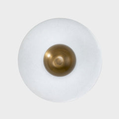 Noah Ceiling Light by Troy Lighting - Dimmable Patina Brass & White Disc, 575 Lumens, 20W Max