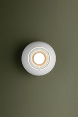 Odin 1-Light Adjustable Flush Mount Ceiling Light by Troy Lighting - Soft Black & Soft White Finishes