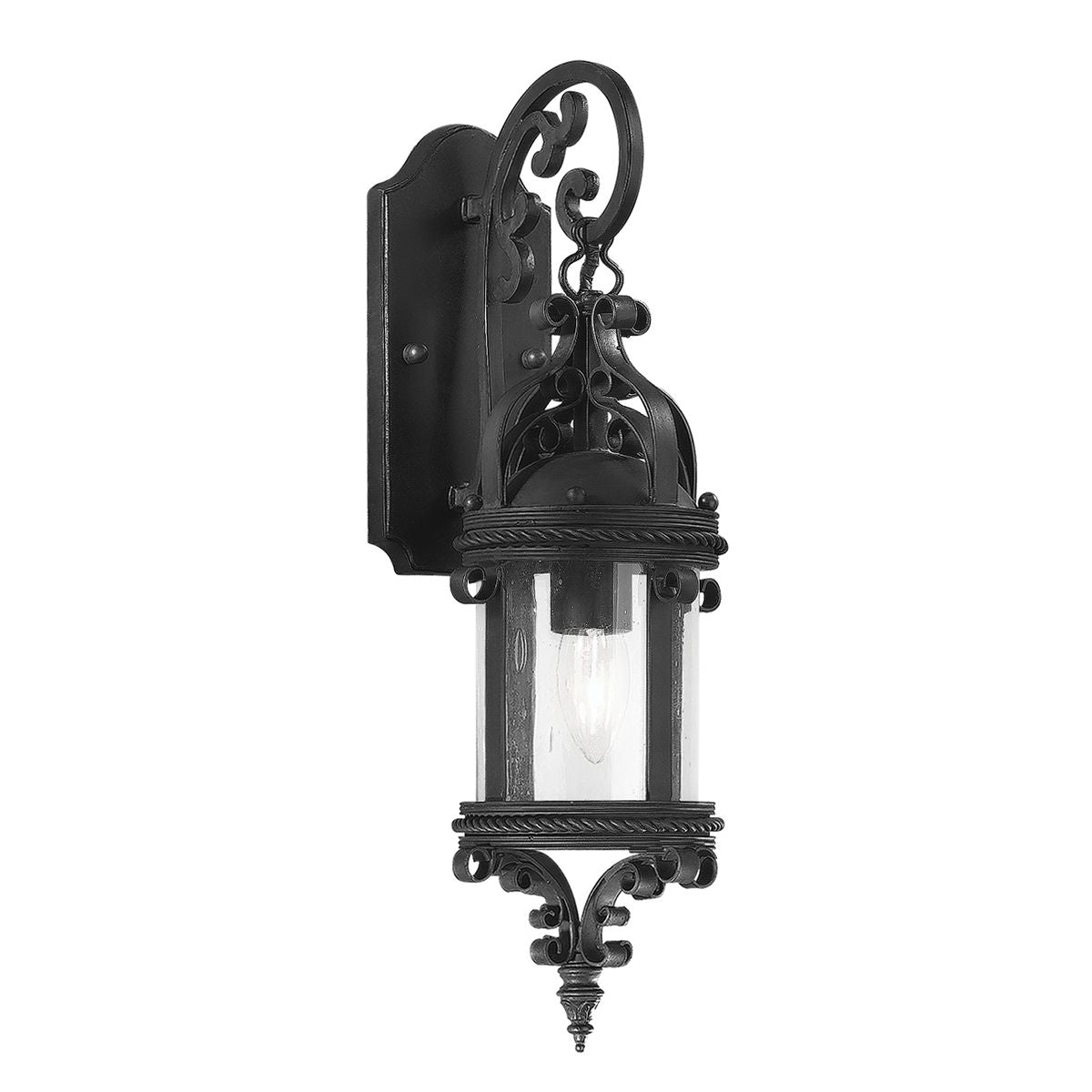 Pamplona Outdoor Wall Sconce by Troy Lighting B9121-SFB