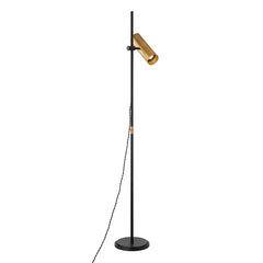 Quinn Floor Lamp 65” High with Dimmable Patina Brass Shade and Slim Soft Black Pole by Troy Lighting