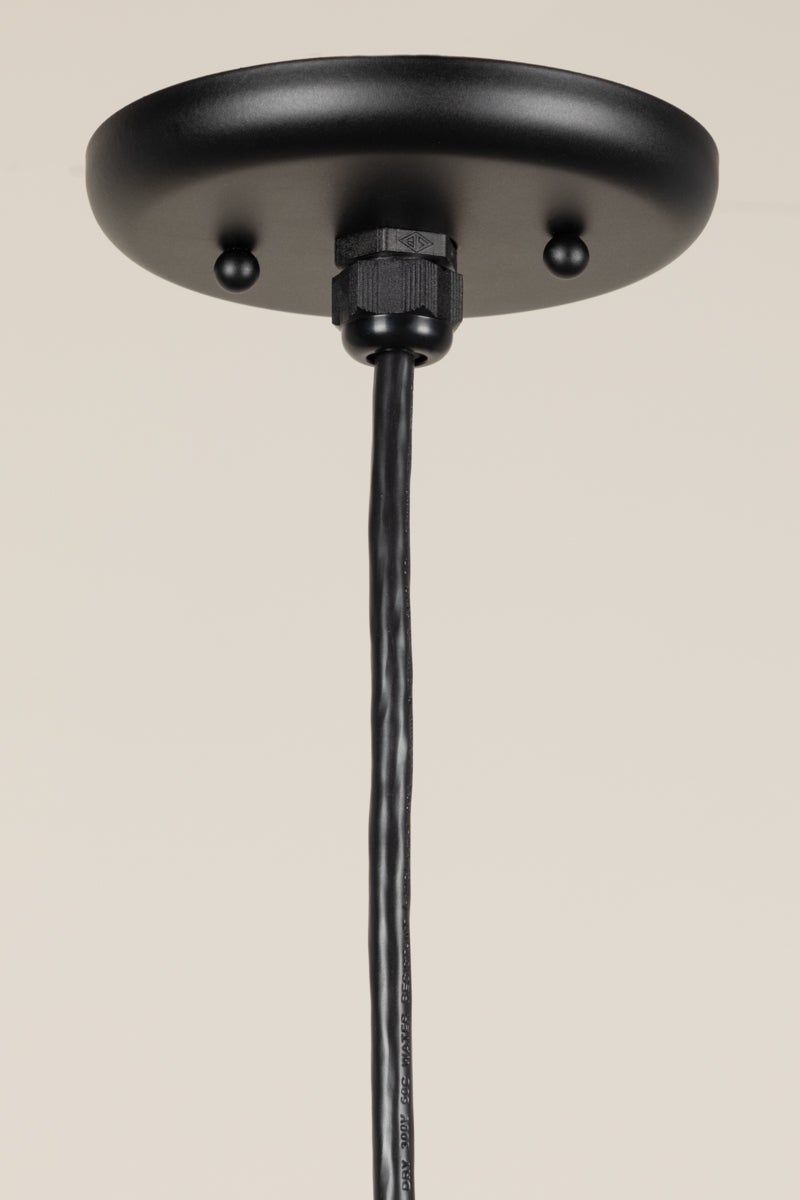 Ventura Pendant by Troy RLM Lighting - 16" Matte Black Outdoor Hanging Light, UL Wet Rated, Dimmable