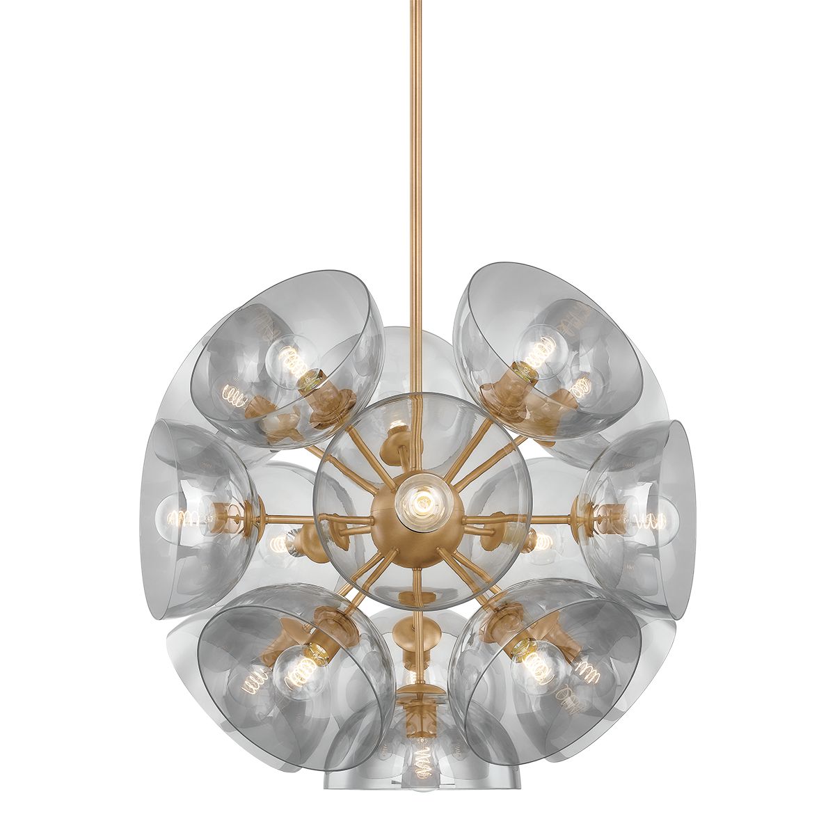 Salix Large Pendant by Troy Lighting F1534-PBR