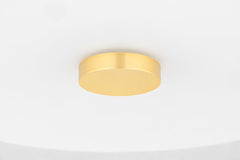 Mitzi Sophie Ceiling Light, Dimmable Opal Glass Shade, Aged Brass or Polished Nickel Finish, UL Damp Rated