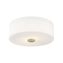 Sophie Ceiling Light by Mitzi H146502